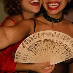 Foto de A Magnólia ao vivo na webcam