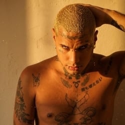 Foto de Amaral - videos sexo ao vivo Sexo ao Vivo