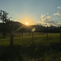 Foto de Anluh ao vivo na webcam