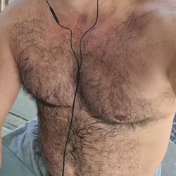 Foto de Bear Brazil ao vivo na webcam