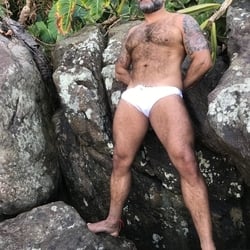 Foto de Bear Hoot ao vivo na webcam