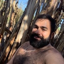 Foto de Bear Max ao vivo na webcam