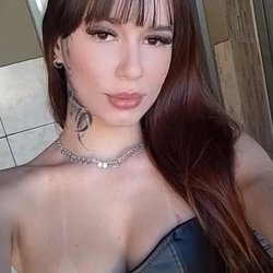 Foto de Bellani ao vivo na webcam