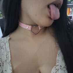 Foto de Bellmort ao vivo na webcam