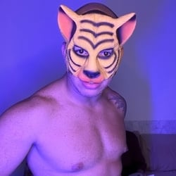 Foto de Casal Dourado ao vivo na webcam