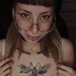 Foto de Catnip ao vivo na webcam