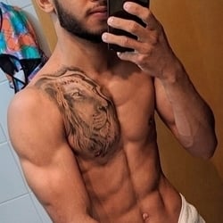 Foto de Cavalo 25 ao vivo na webcam