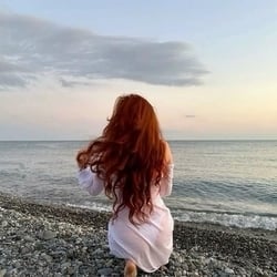 Foto de Cherry Blossom ao vivo na webcam