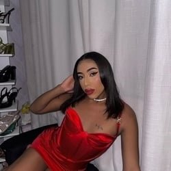 Foto de Chocobom ao vivo na webcam