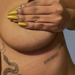 Foto de Cisne Negro ao vivo na webcam