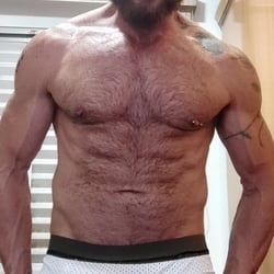 Foto de Ted Blue Bear ao vivo na webcam