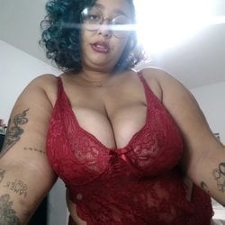 Foto de Dassinha ao vivo na webcam