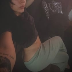 Foto de Dimon ao vivo na webcam