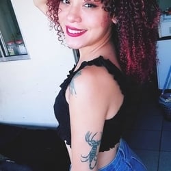 Foto de Dingle Bells ao vivo na webcam