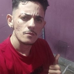 Foto de Dino SP ao vivo na webcam