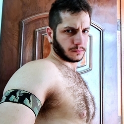 Dolfinho