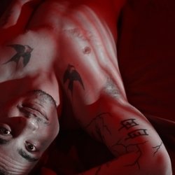 Foto de FTM Gringo ao vivo na webcam