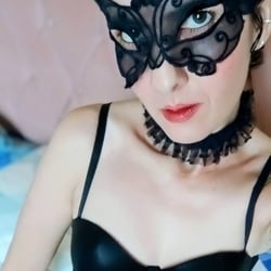 Foto de Gaivota ao vivo na webcam