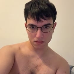 Foto de Gato Fofo ao vivo na webcam