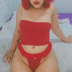 Foto de Girassol W ao vivo na webcam