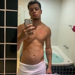 Foto de Gorila Branco ao vivo na webcam