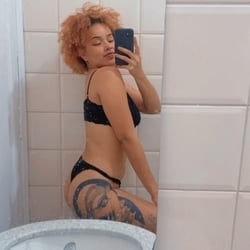 Foto de Guinness ao vivo na webcam