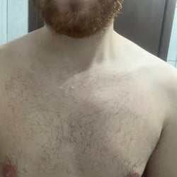 Foto de Gurizão Ruivo ao vivo na webcam