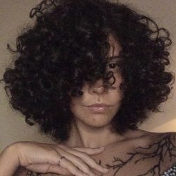 Foto de Hyalophora ao vivo na webcam