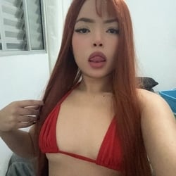 Foto de Japinha WWW ao vivo na webcam