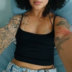 Foto de Kea ao vivo na webcam