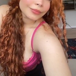 Foto de Laranjei ao vivo na webcam