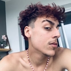 Foto de Limax ao vivo na webcam