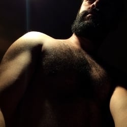 Foto de Lion Dot ao vivo na webcam