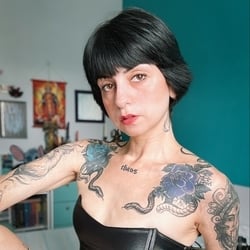 Foto de Little Bat ao vivo na webcam