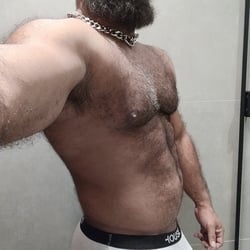 Foto de Little Bear BR ao vivo na webcam