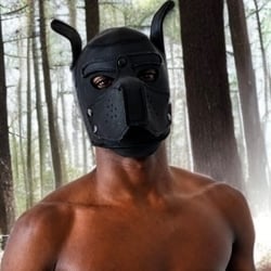 Foto de Lobo Mau Dot - videos sexo ao vivo Sexo ao Vivo