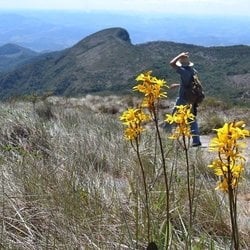 Foto de Luccas ao vivo na webcam