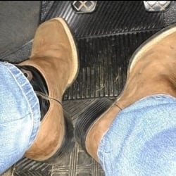 Foto de Macho Cavalao ao vivo na webcam