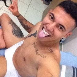 Foto de Macho Hércules ao vivo na webcam