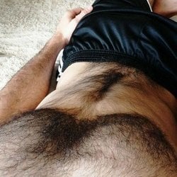 Foto de Magrao Dot ao vivo na webcam