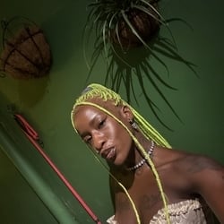 Foto de Negra Retinta ao vivo na webcam