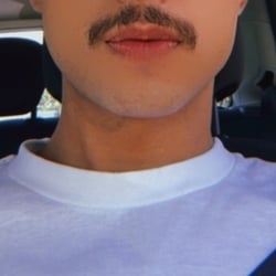 Foto de Nocturne ao vivo na webcam