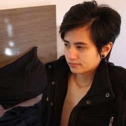 Foto de O Lobo ao vivo na webcam