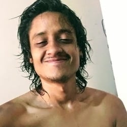 Foto de O Tulipa ao vivo na webcam