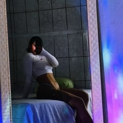 Foto de Olhar Felino ao vivo na webcam