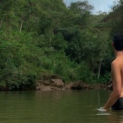 Foto de Pardo 839 ao vivo na webcam