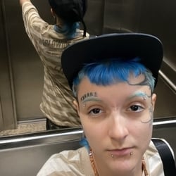 Foto de Passarinho ao vivo na webcam