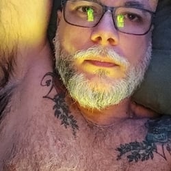 Foto de Peludo Capixaba ao vivo na webcam