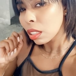 Foto de Perola 2025 ao vivo na webcam