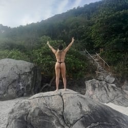 Foto de rana-silva ao vivo na webcam